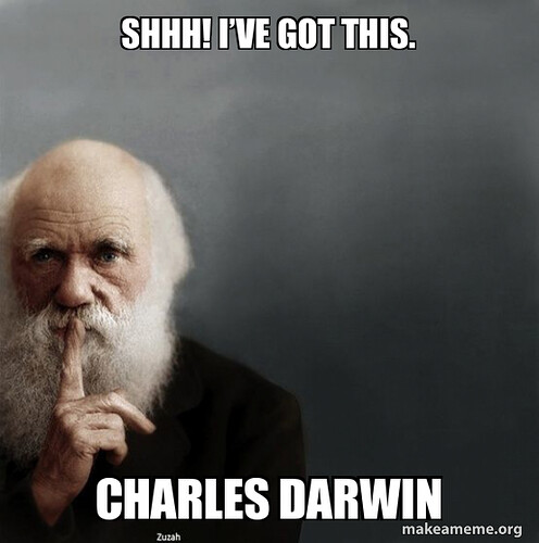 shhh-ive-got-6ac9380a4c