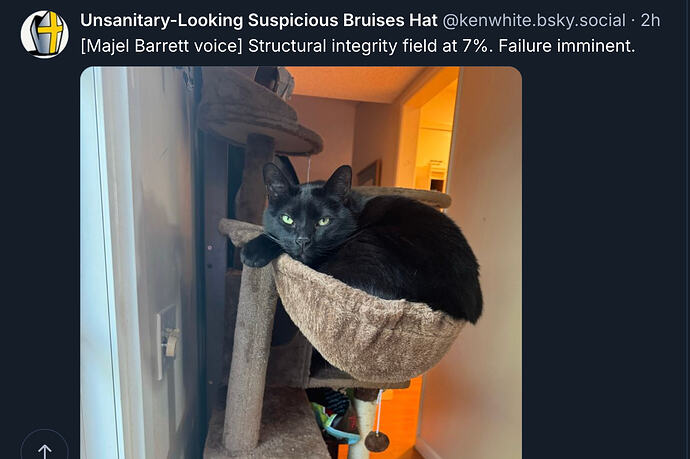 Screenshot 2026-01-23 at 2.02.59 PM