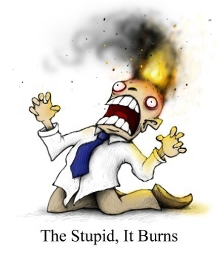 stupid