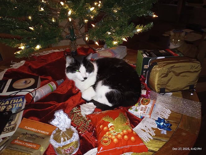 IMG_20251227_164222597