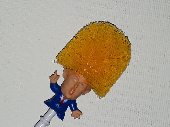 tRumPP%2C%20best%20use%20of