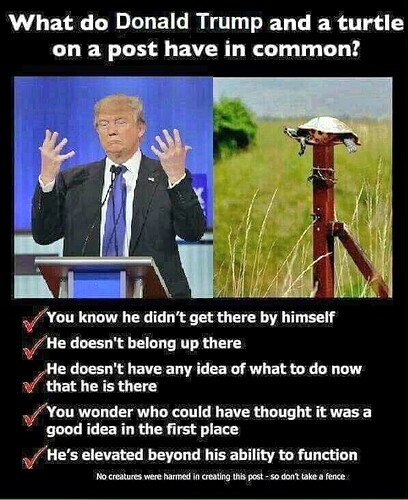 Trump on a post
