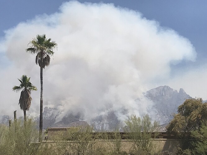 8E99E16E-3F84-4392-B45F-DA3B8738508F