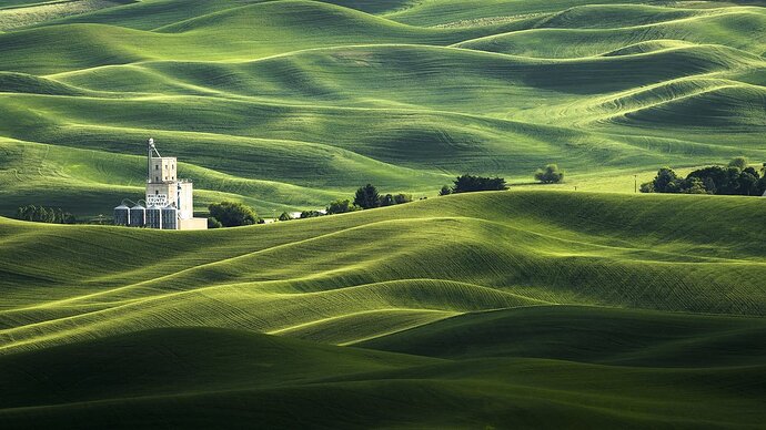 palouse