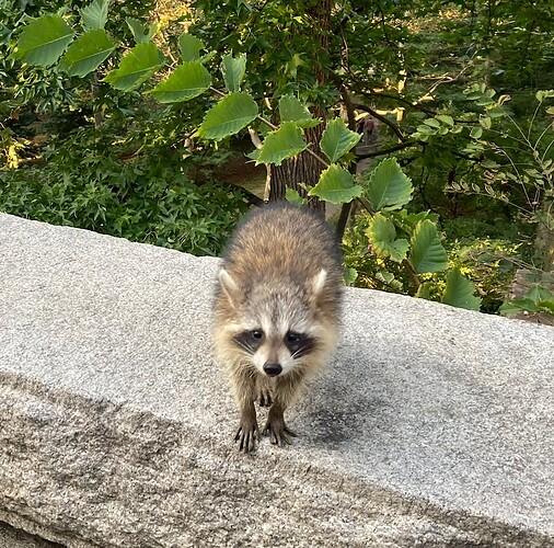 Screenshot 2026-01-11 at 9.34.08 AM