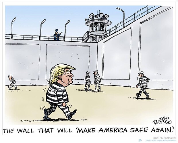 Trump Wall Safe