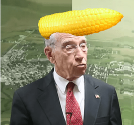cornhead grassley