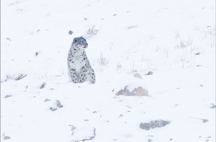 Screenshot 2026-02-13 at 9.18.25 AM