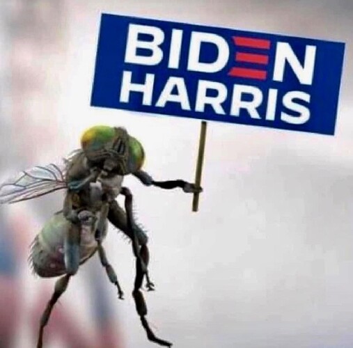 D1F0C71C-F3C1-434A-9881-75B628BD384F_1_105_c