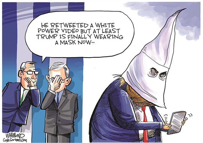 Trump-WhitePowermask