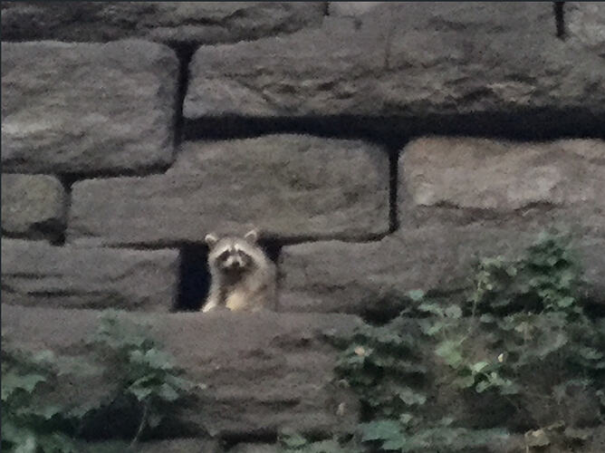 Screenshot 2026-02-20 at 11.11.58 AM