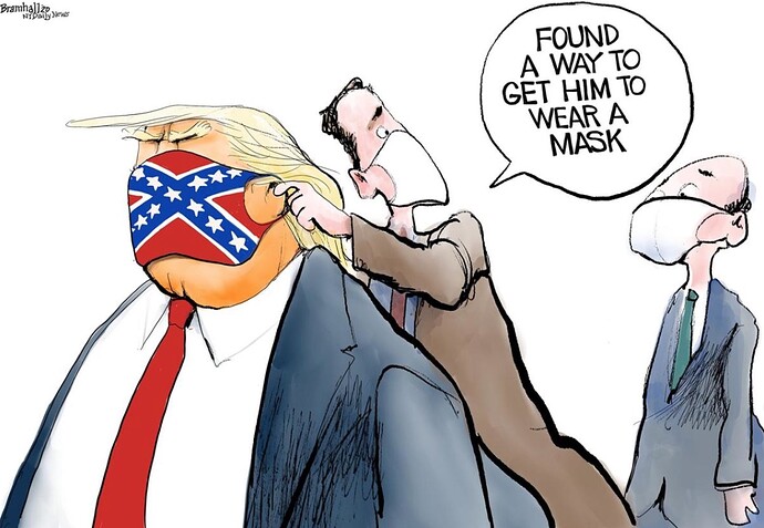 Trump-MaskConfederate