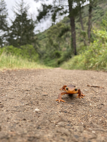 05A691B3-331C-400F-B33B-8F25E1E254BF