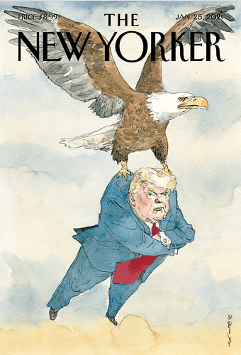 NYer25Jan21