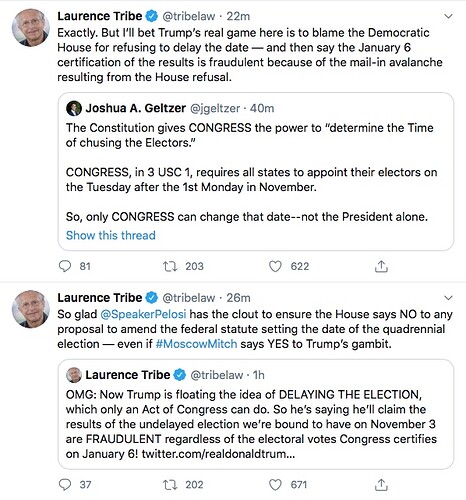 Trump-Delay-Election