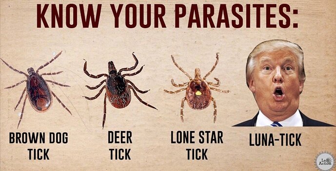 E07417C1-9DF5-479A-BEB1-A782A3548EAA