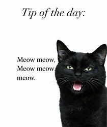 Tip of the day