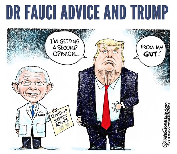 Trump-Covid-FauciGut