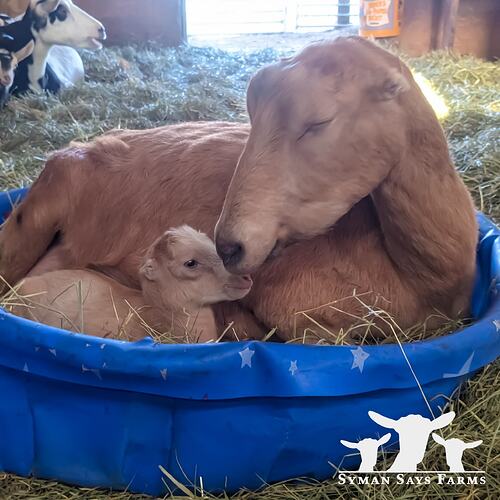 Greta and baby