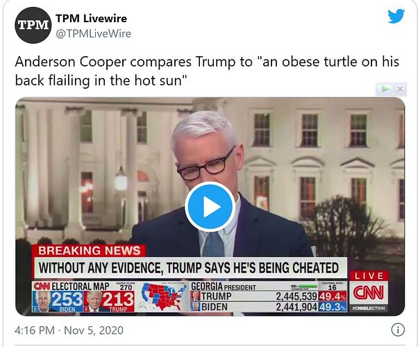 turtlermethis