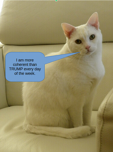 Screenshot from 2026-03-14 08-44-47