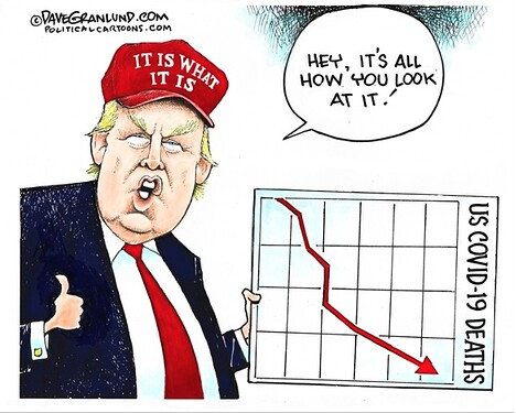 Trump-Covid-ItIsWhatItIs