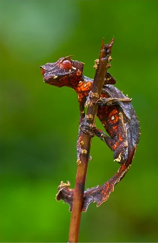 bafkreihpanyl7px3fpszoo7vjntfiskvt32x7zl7ti5nrgx4sguqs44rby