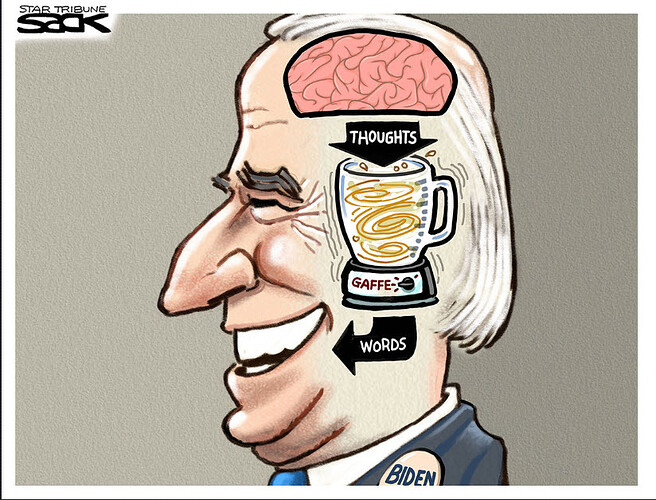 biden%20gaffe%20brains