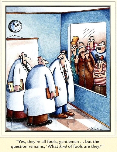 far-side-fools