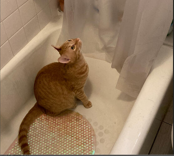 Screenshot 2026-03-11 at 12.06.34 PM