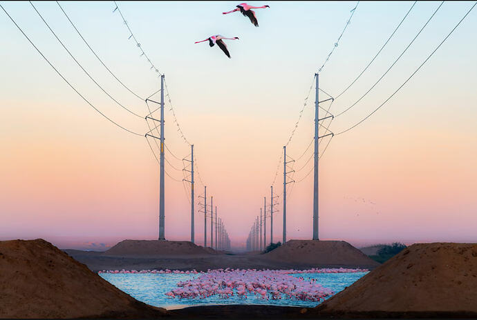 © Alexandre Brisson