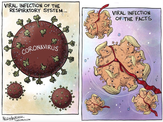 Trump-Covid-2Viruses