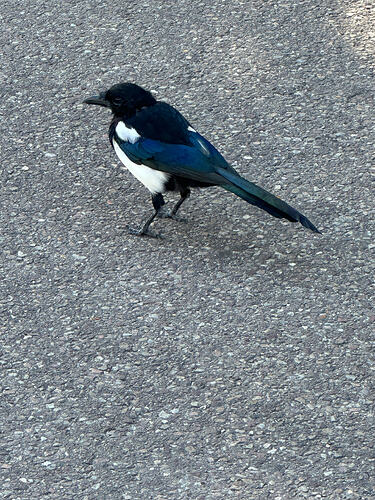 20261016_093142463_iOS