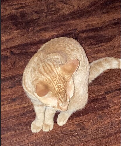 Screenshot 2026-01-10 at 9.32.26 AM