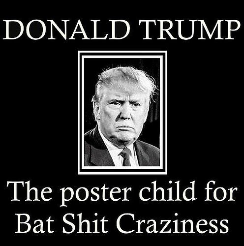 batshit%20crazy%20trump