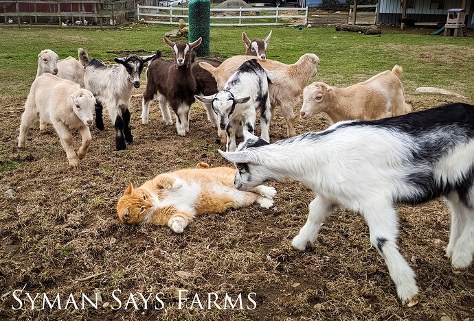 Hunter%20and%20babies