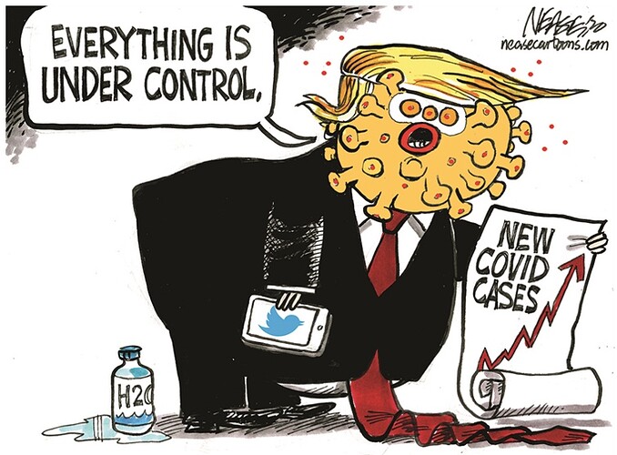 Trump-EverythingUNderControl