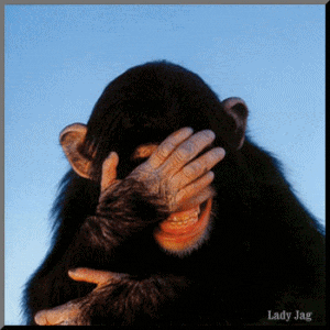 Laughing-chimp-gif-animation