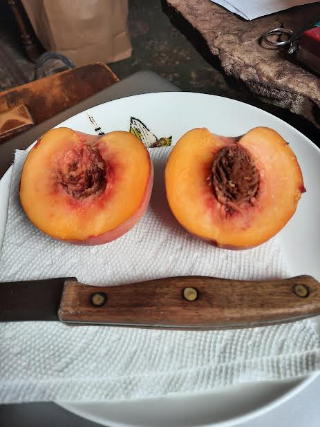 peach