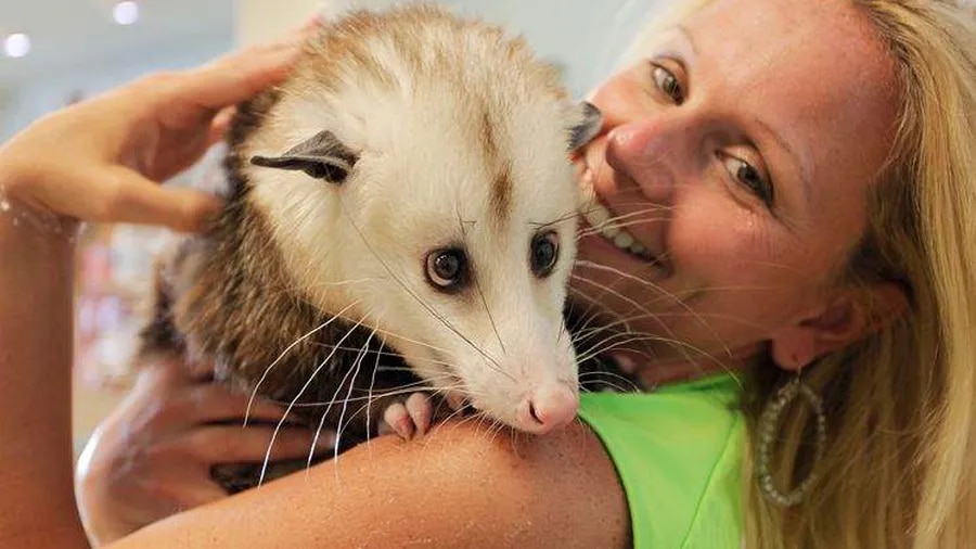 NDVICCGKY4I6TODGIBWI6S7HAY