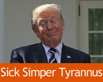 GettyImages-862043646-804x536