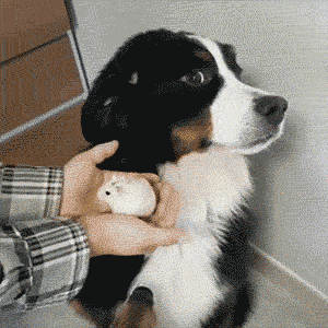 tumblr_oxq4x6vHqa1toamj8o1_400|nullxnull