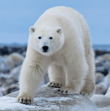 Screen Shot 2022-09-22 at 9.50.14 AM