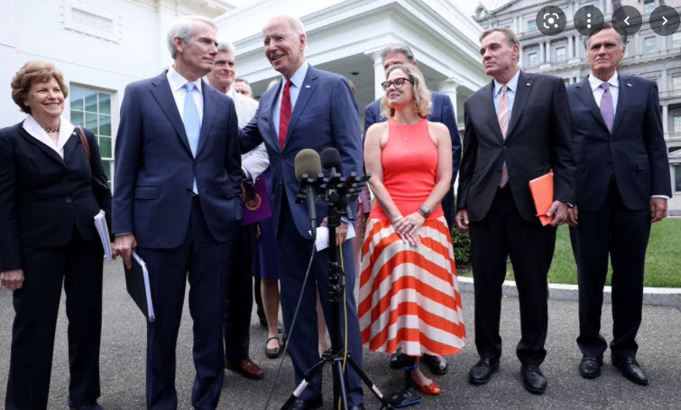 Sinema dressed as traffic cone