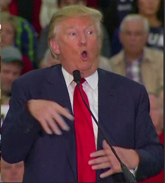 Screen Shot 2024-07-30 at 6.59.57 PM