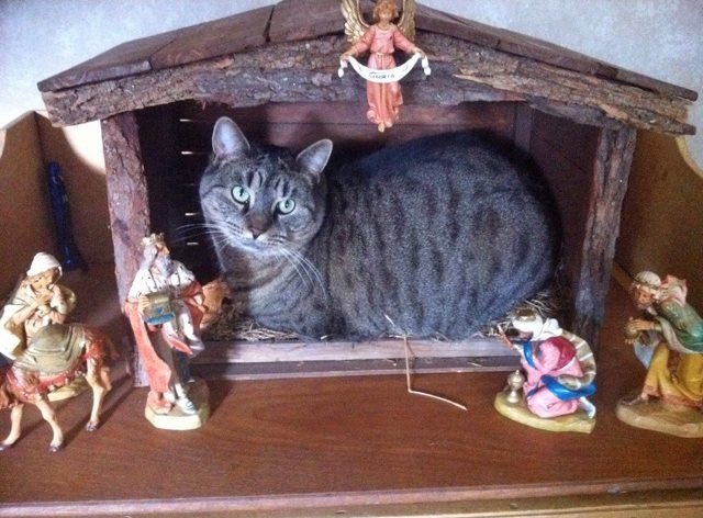 da3d76882ad5a23b8a36e550a3dbb21d