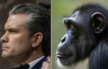 hegseth chimp