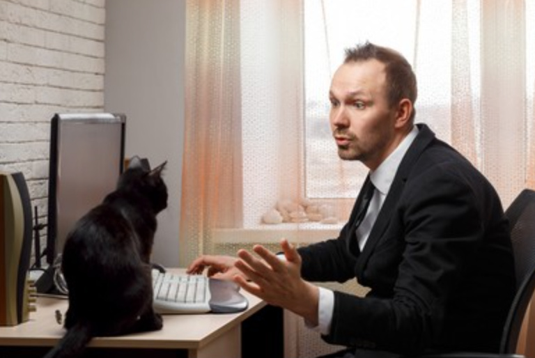 Screen Shot 2022-06-30 at 4.39.50 PM