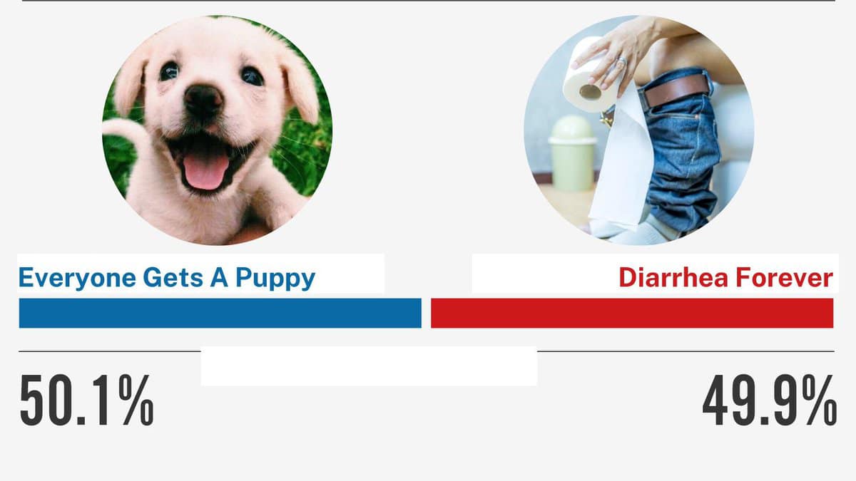 Puppies vs diahhrea