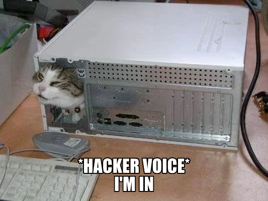 cat-hacker-inside